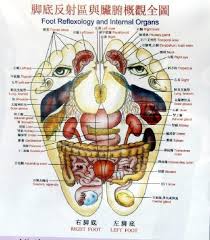 Feet Map Of Organs In Body To Read The Organ Names It