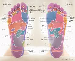 Reflexology Hand And Foot Maps Peacock And Paisley