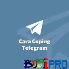 Jilbabholic arisan waktunya pulang ukuran file : Bot Cuping Telegram Archives Bufipro Com