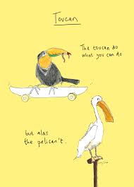 toucan and pelican card scribbler