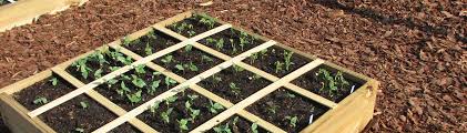 Square Foot Garden Solutions For Your