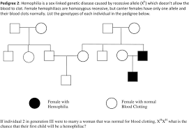 Building A Pedigree Observe The Symbols And The Example Of