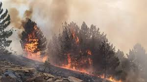 Bölgeye hareket eden ekiplerin yangını söndürme çalışmaları devam ediyor. Elazig Da Orman Yangini 3 Sayfa
