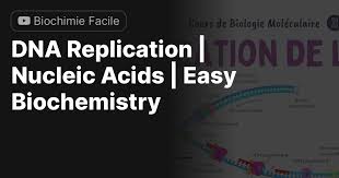 dna replication nucleic acids easy