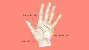 A Guide To Palm Reading Lines Diagram Real Simple