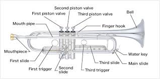 The Structure Of The Trumpet Differences Between The Piston
