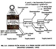 Energy Flow Processes Operation And Energy Flow In