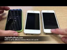 How To Tell The Difference Between Iphone 5 5c And 5s Youtube