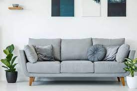 Grey Sofa Decorated Pillows Plants