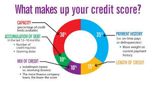 Anatomy Of A Credit Score A Number Of Factors Contribute To