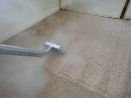 carpet cleaning specialists we make