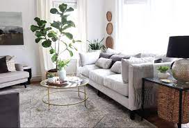 stylish sofas from raymour flanigan