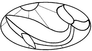 free fish patterns for stained glass