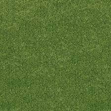 msi emerald green 15 ft wide x 40 mm cut to length green artificial gr carpet
