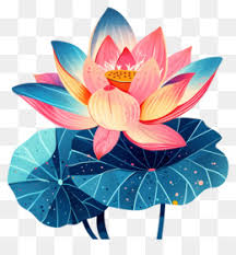water lily png water lily flower