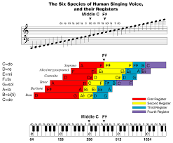 Schiller Institute Music Chart Of Human Vocal Registers
