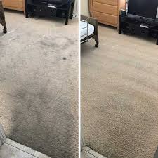 the 1 carpet cleaning in honolulu hi