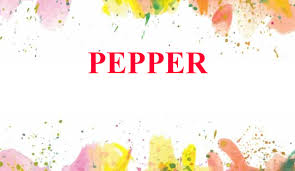 Pepper Name Meaning