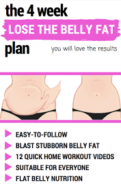 Lose Belly Fat Plan