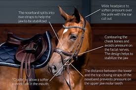 How To Ps Of Sweden Bridle Sizing Centerline Style