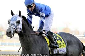 Image result for frosted horse