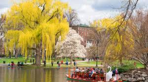 Scenic Boston Plazas Squares To