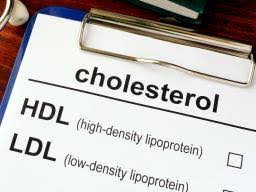 High Hdl Levels Recommendations Balance And Tips