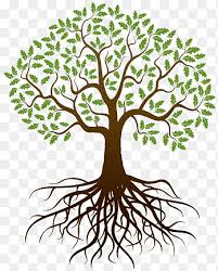 나무의 그림, 루트 트리 스케치 그리기, 생명의 나무, 잎, 분기 png | PNGEgg