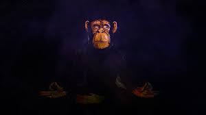 e chimp 4k wallpaper for pc