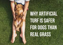 why chicago artificial turf is safe for