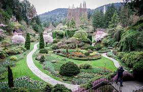 an april visit to the butchart gardens