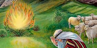 spiritual meaning of fire dream
