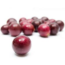 Image result for muscadine grapes