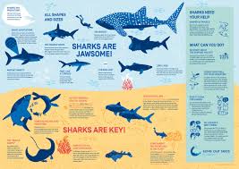 The marine food chain is one amongst them. Save Our Seas On Twitter Happy Earthday Oceans Are The Most Important Ecosystem On Earth Our Best Defence Against Global Warming Sharks Play A Vital Role At The Top Of