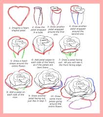 Rose flower in full bloom. How To Draw Roses Happy Family Art