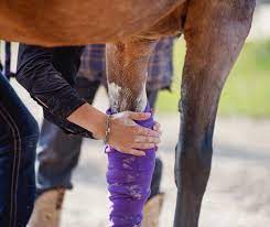 Make Your Own Horse Care Remedies