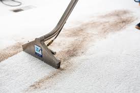 3 Reasons Spots Come Back After Carpet Cleaning | Zerorez Phoenix