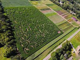 corn maze near chicago il