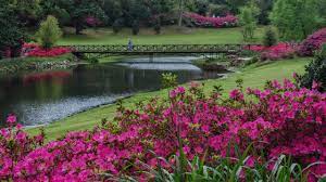 bellingrath gardens gardens visitor