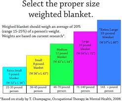 25 Lb Weighted Blanket Petit Kuchikomi Info