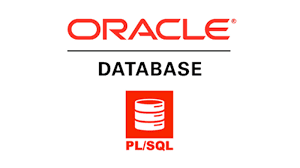 oracle pl sql smartbrains piping