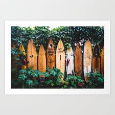 Surfboards Maui Hawaii Art Print By