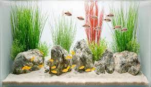 Simple Home Aquarium Design gambar png