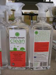 the gift of clean the martha stewart