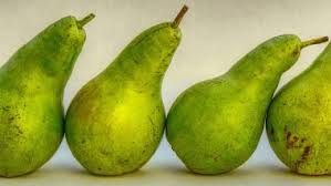 pears nashpati