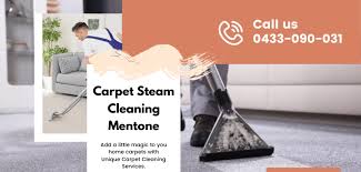 carpet cleaning mentone local