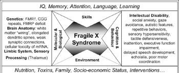 Biopsychosocial Model Of Fragile X Syndrome Download