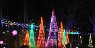 displays of christmas lights in georgia