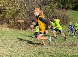 tallmadge youth cross country shines at