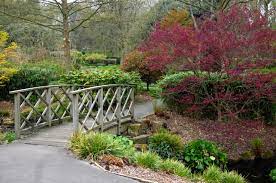 Bridge In Lister Park Botanical Garden